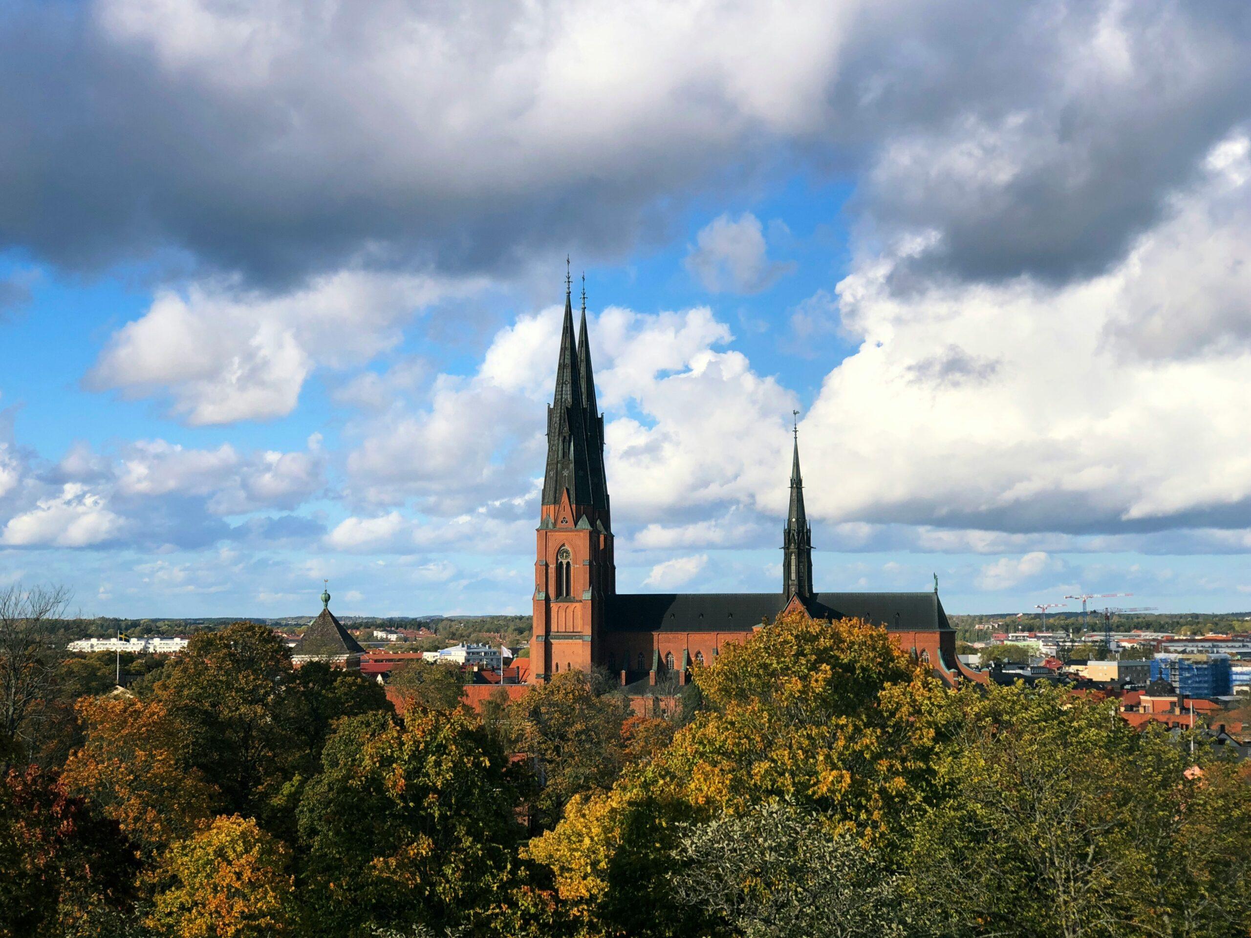Sociala-processer-för-att-initiera-energirenovering-av-organisationers-byggnader.-Fallet-Svenska-Kyrkan.
